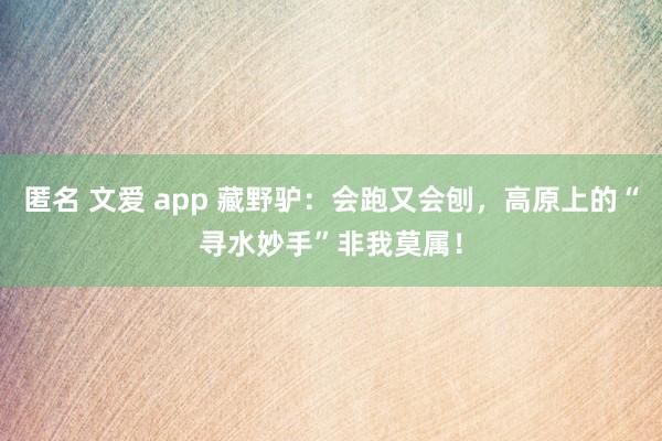 匿名 文爱 app 藏野驴：会跑又会刨，高原上的“寻水妙手”非我莫属！