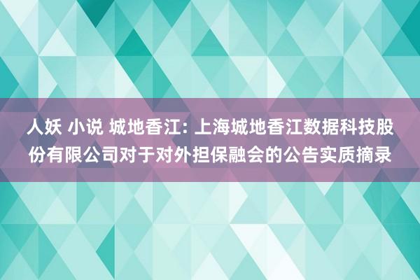 人妖 小说 城地香江: 上海城地香江数据科技股份有限公司对于对外担保融会的公告实质摘录