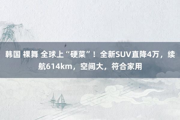 韩国 裸舞 全球上“硬菜”！全新SUV直降4万，续航614km，空间大，符合家用