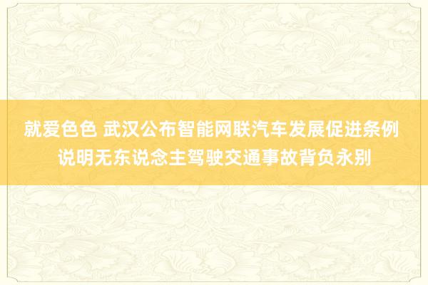 就爱色色 武汉公布智能网联汽车发展促进条例 说明无东说念主驾驶交通事故背负永别