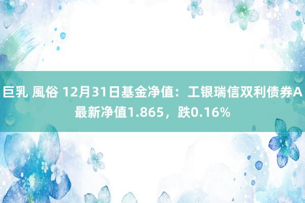 巨乳 風俗 12月31日基金净值：工银瑞信双利债券A最新净值1.865，跌0.16%