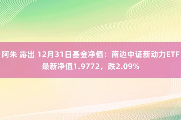 阿朱 露出 12月31日基金净值：南边中证新动力ETF最新净值1.9772，跌2.09%