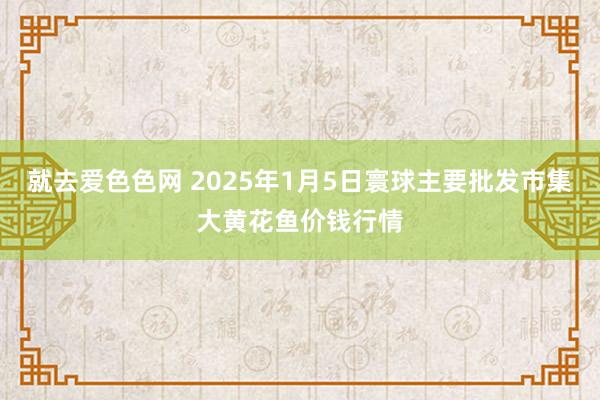 就去爱色色网 2025年1月5日寰球主要批发市集大黄花鱼价钱行情