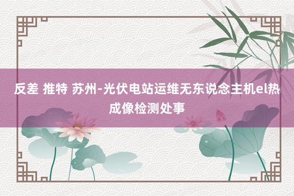 反差 推特 苏州-光伏电站运维无东说念主机el热成像检测处事