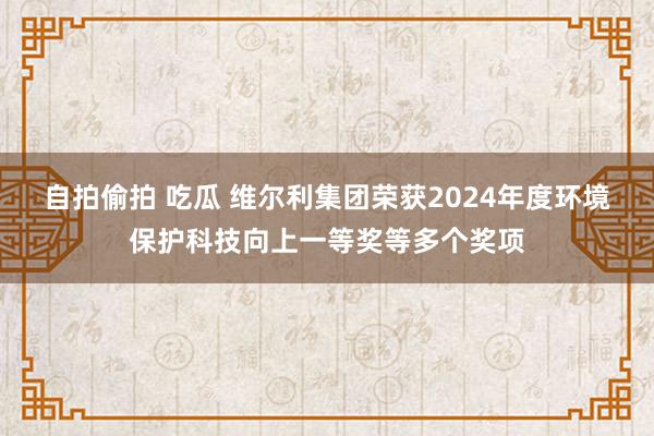 自拍偷拍 吃瓜 维尔利集团荣获2024年度环境保护科技向上一等奖等多个奖项