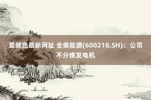 爱就色最新网址 全柴能源(600218.SH)：公司不分娩发电机