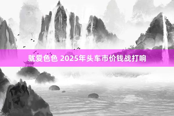 就爱色色 2025年头车市价钱战打响