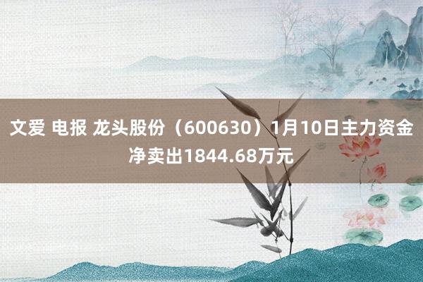 文爱 电报 龙头股份（600630）1月10日主力资金净卖出1844.68万元